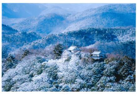雪の備中松山城