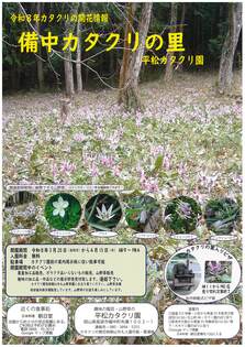 平松カタクリ園　カタクリの開花情報