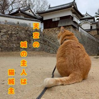 さんじゅーろー川柳展