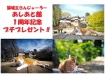 【好評につき終了しました】猫城主さんじゅーろーあしあと館1周年記念プチプレゼント