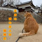 さんじゅーろー川柳展